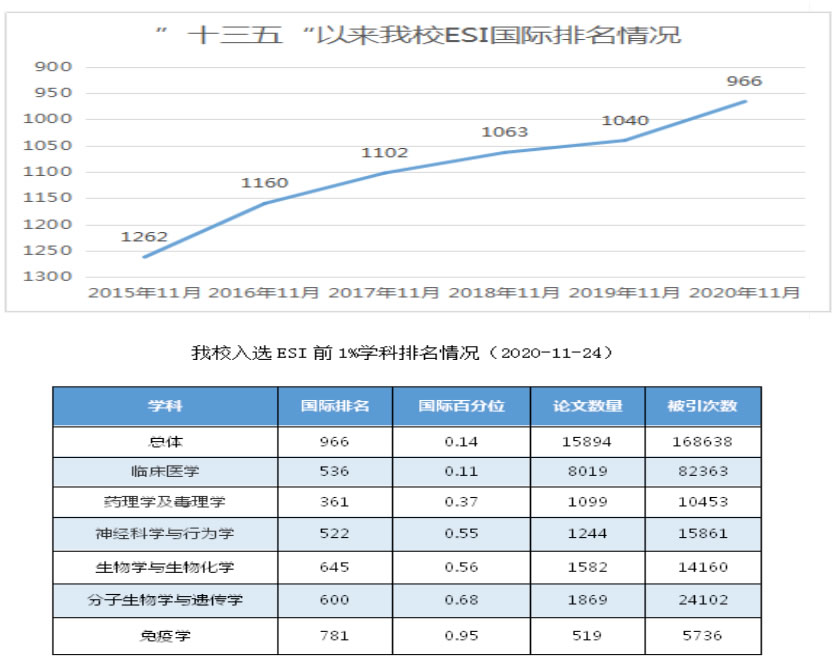 未命名-13222.jpg