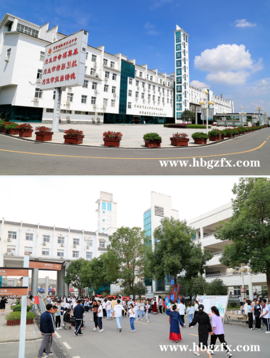 QQ截图20211008171541.png